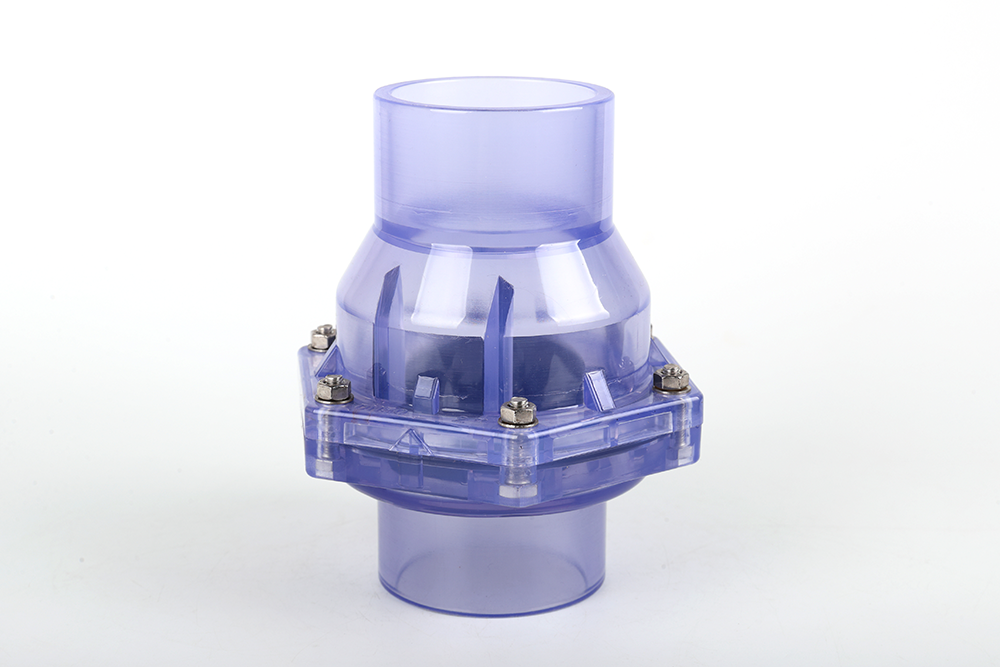 醴陵透明翻板式止回阀